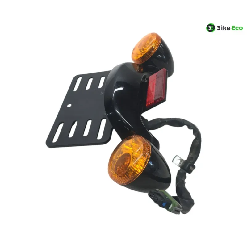 Support de plaque et eclairage HARLEY DAVIDSON FLTRXS 1870 2018-2019 ROAD GLIDE SPECIAL