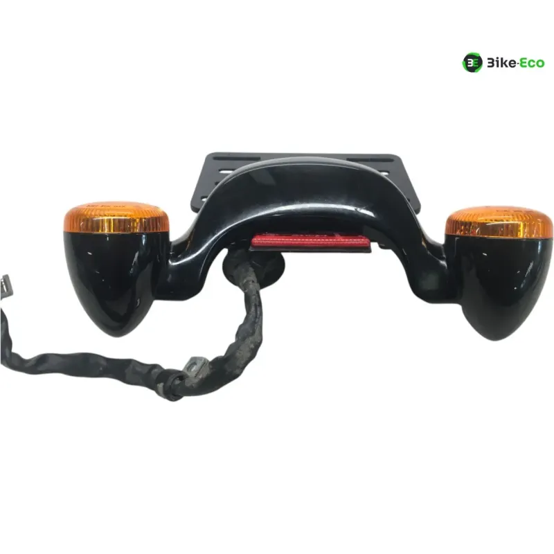 Support de plaque et eclairage HARLEY DAVIDSON FLTRXS 1870 2018-2019 ROAD GLIDE SPECIAL