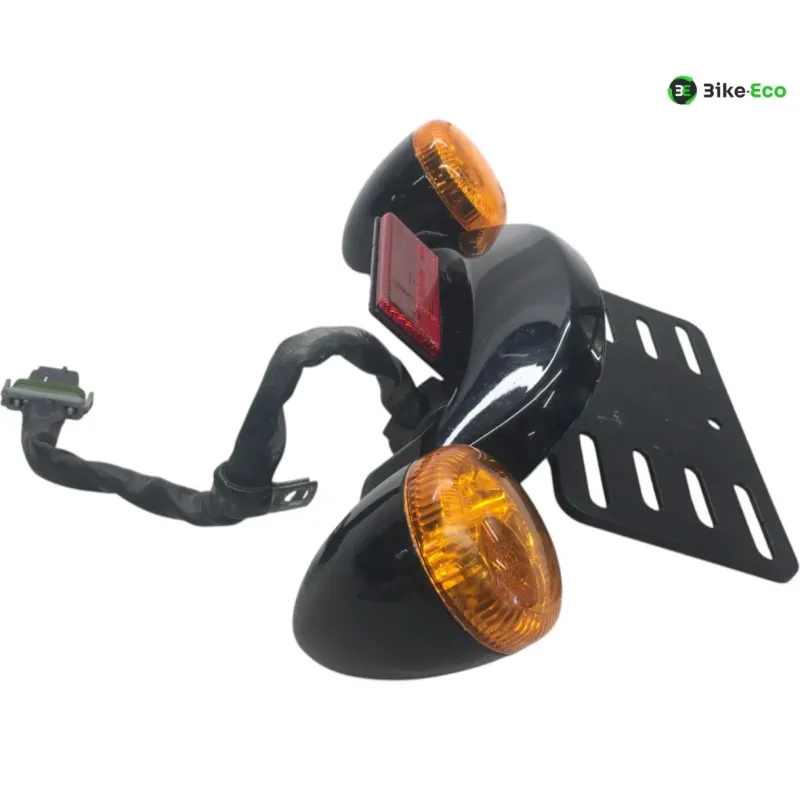 Support de plaque et eclairage HARLEY DAVIDSON FLTRXS 1870 2018-2019 ROAD GLIDE SPECIAL