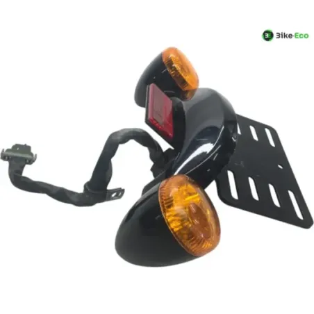 Support de plaque et eclairage HARLEY DAVIDSON FLTRXS 1870 2018-2019 ROAD GLIDE SPECIAL