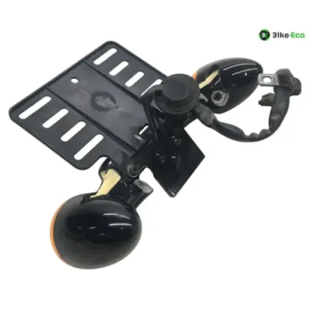 Support de plaque et eclairage HARLEY DAVIDSON FLTRXS 1870 2018-2019 ROAD GLIDE SPECIAL