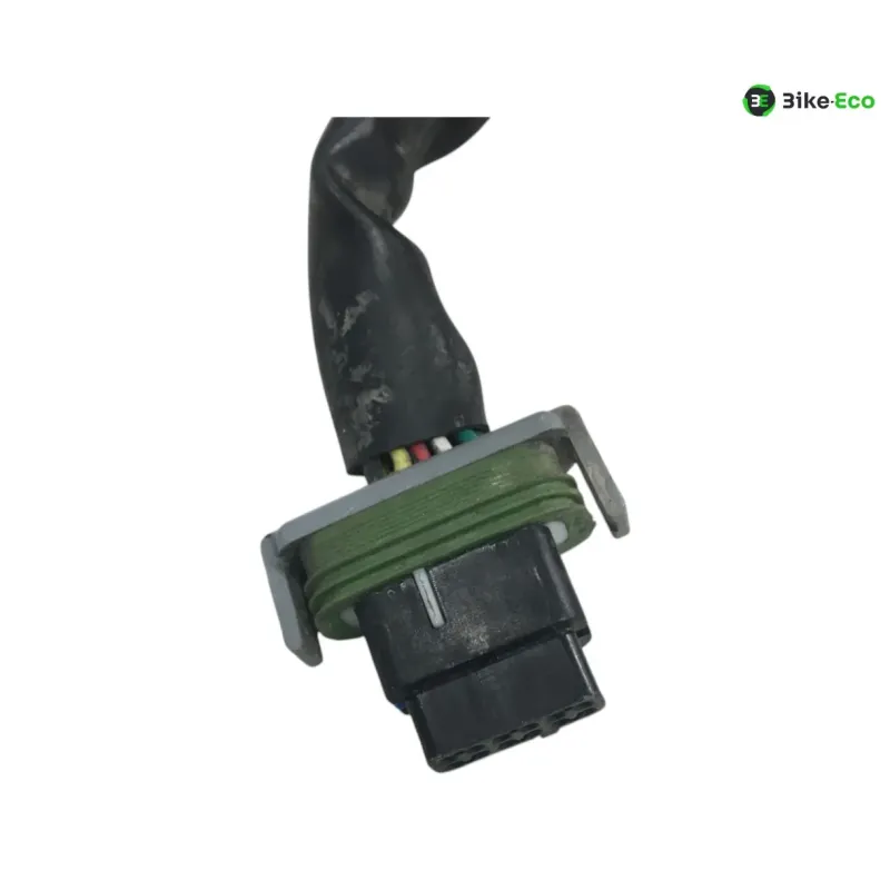 Support de plaque et eclairage HARLEY DAVIDSON FLTRXS 1870 2018-2019 ROAD GLIDE SPECIAL