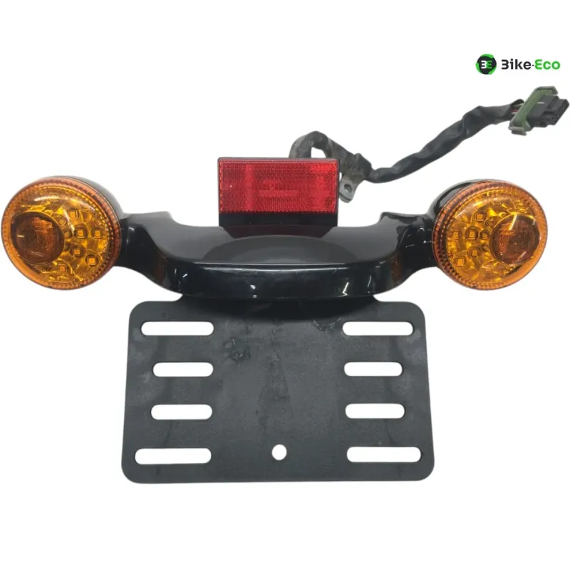 Support de plaque et eclairage HARLEY DAVIDSON FLTRXS 1870 2018-2019 ROAD GLIDE SPECIAL