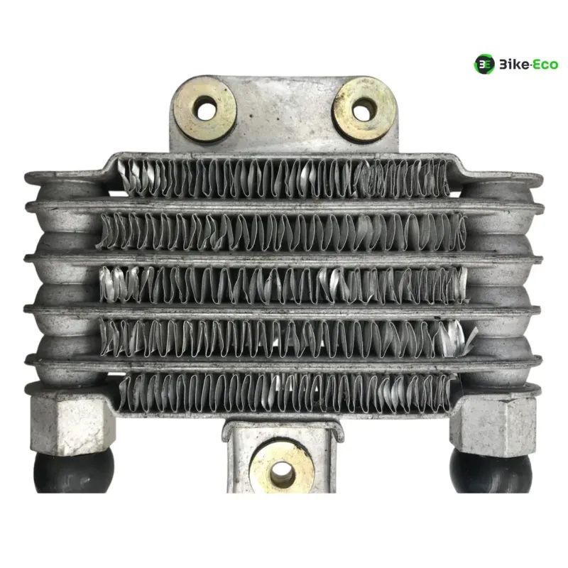 Radiateur huile DAELIM S2 SQ 125 FI 2007-2012