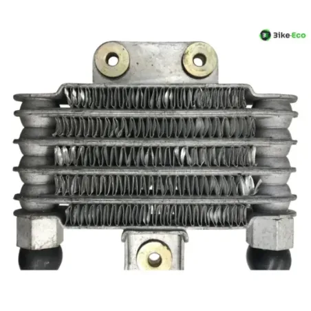 Radiateur huile DAELIM S2 SQ 125 FI 2007-2012
