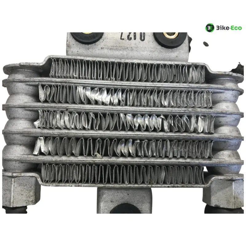 Radiateur huile DAELIM S2 SQ 125 FI 2007-2012