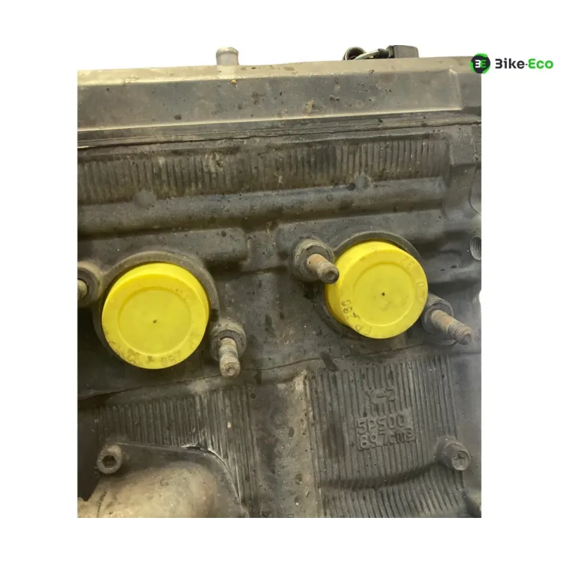 Moteur YAMAHA TDM 900 2007-2010
