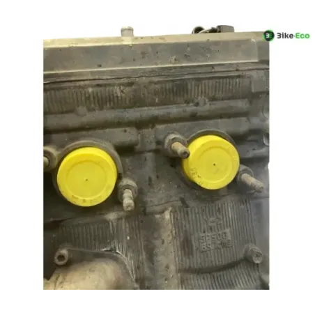 Moteur YAMAHA TDM 900 2007-2010