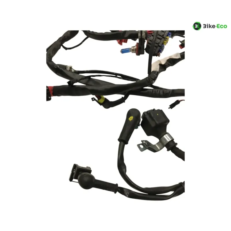 Faisceau electrique GILERA FUOCO 500 2013-2014 LT