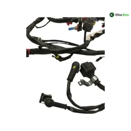 Faisceau electrique GILERA FUOCO 500 2013-2014 LT