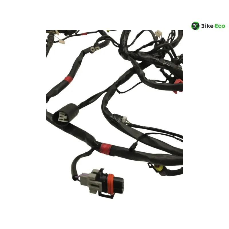 Faisceau electrique GILERA FUOCO 500 2013-2014 LT