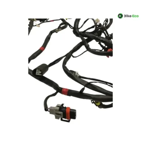 Faisceau electrique GILERA FUOCO 500 2013-2014 LT