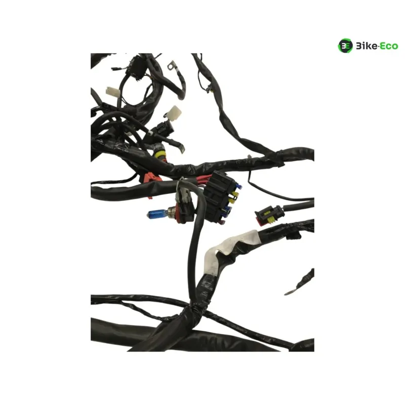 Faisceau electrique GILERA FUOCO 500 2013-2014 LT