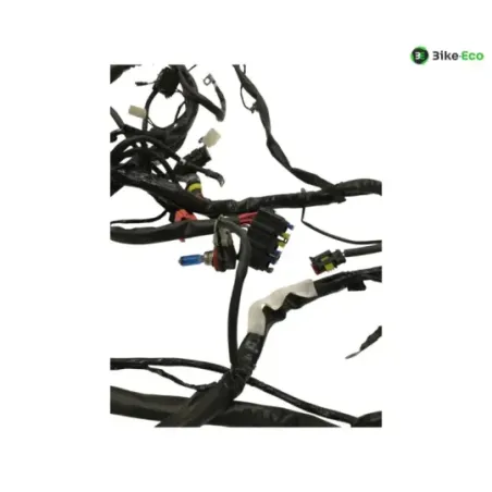 Faisceau electrique GILERA FUOCO 500 2013-2014 LT