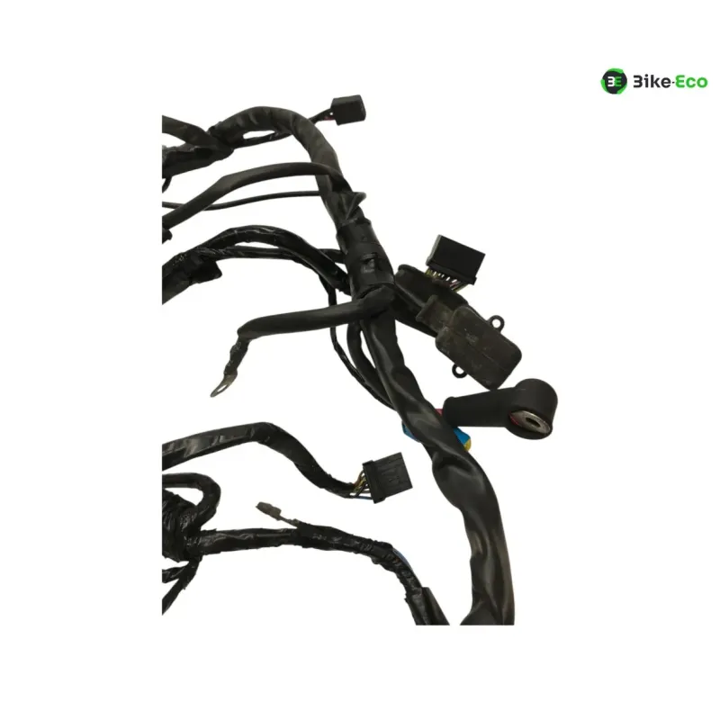 Faisceau electrique GILERA FUOCO 500 2013-2014 LT