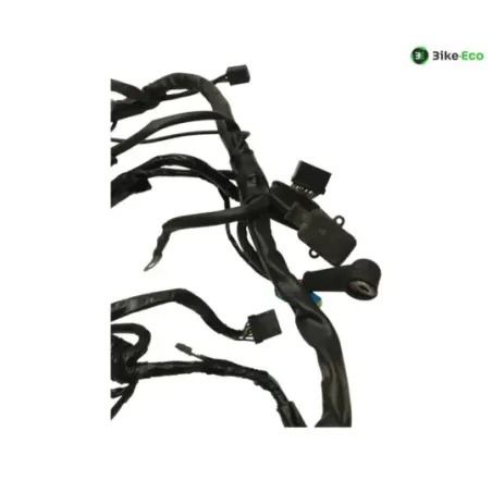 Faisceau electrique GILERA FUOCO 500 2013-2014 LT