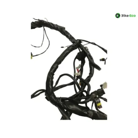 Faisceau electrique GILERA FUOCO 500 2013-2014 LT