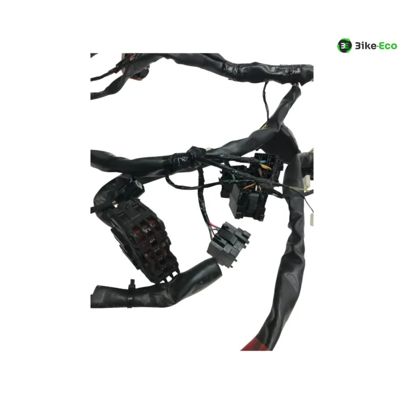 Faisceau electrique GILERA FUOCO 500 2013-2014 LT