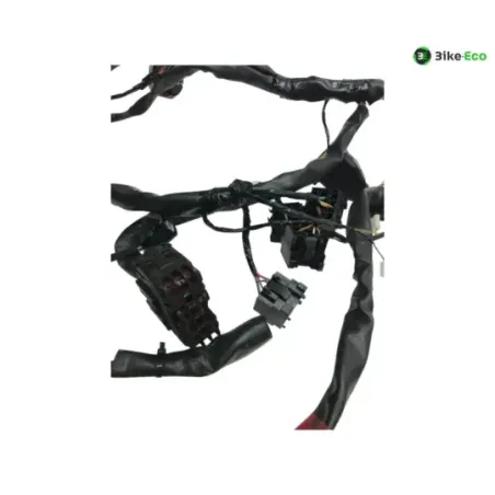 Faisceau electrique GILERA FUOCO 500 2013-2014 LT