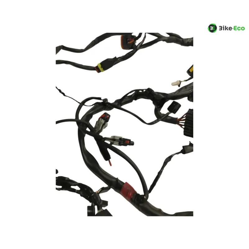 Faisceau electrique GILERA FUOCO 500 2013-2014 LT
