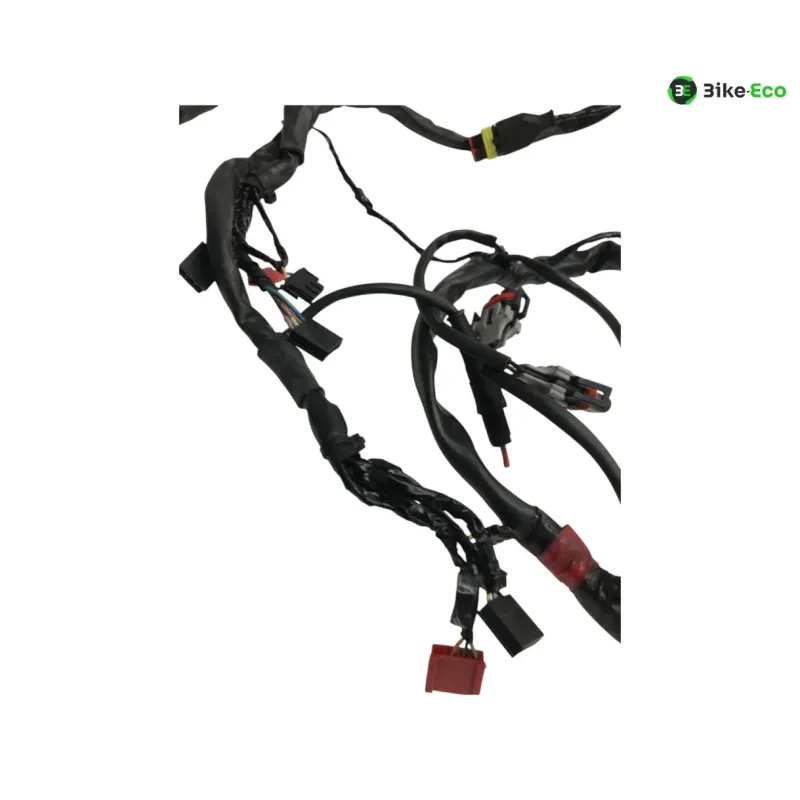Faisceau electrique GILERA FUOCO 500 2013-2014 LT