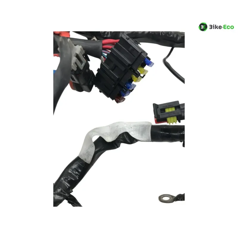 Faisceau electrique GILERA FUOCO 500 2013-2014 LT