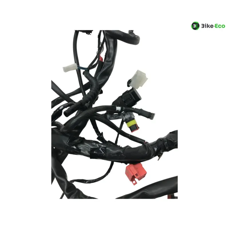 Faisceau electrique GILERA FUOCO 500 2013-2014 LT