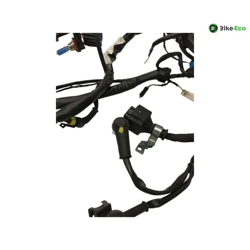 Faisceau electrique GILERA FUOCO 500 2013-2014 LT
