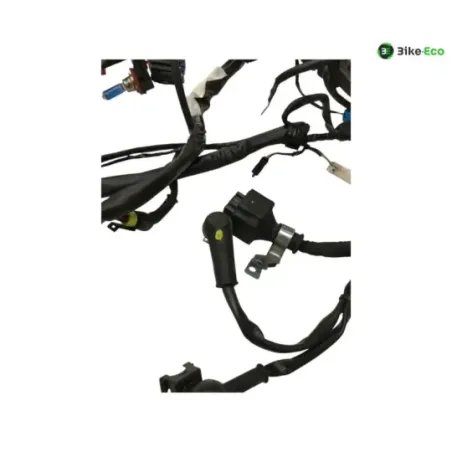Faisceau electrique GILERA FUOCO 500 2013-2014 LT