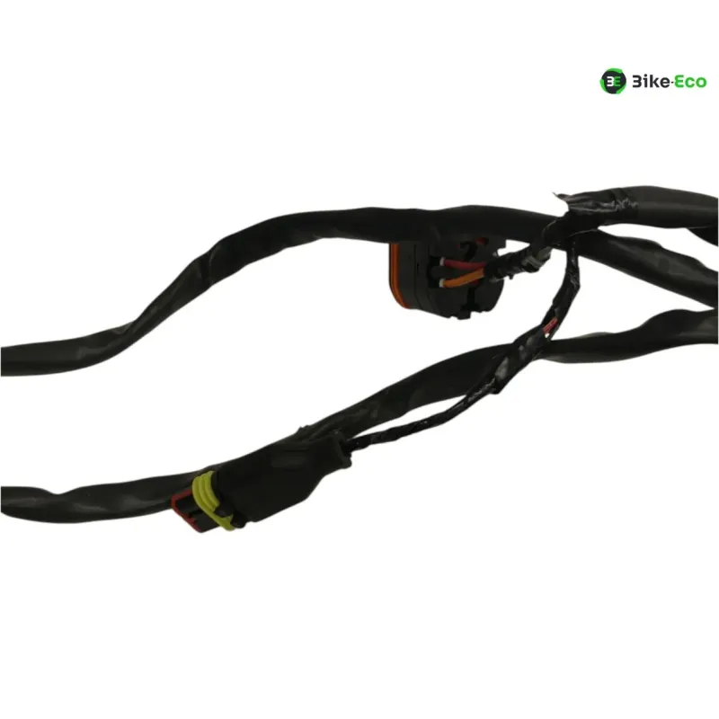 Faisceau electrique GILERA FUOCO 500 2013-2014 LT