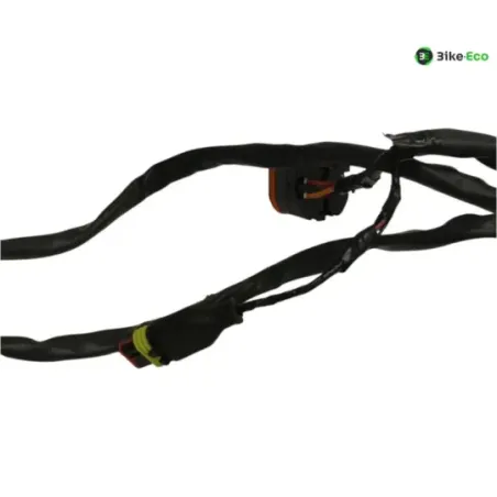 Faisceau electrique GILERA FUOCO 500 2013-2014 LT
