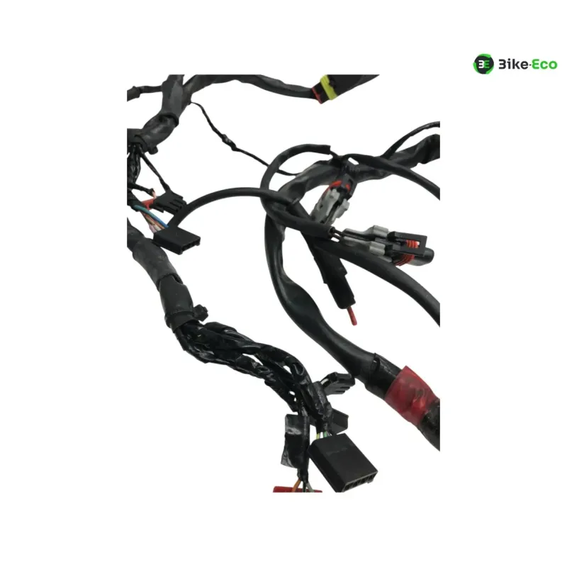 Faisceau electrique GILERA FUOCO 500 2013-2014 LT