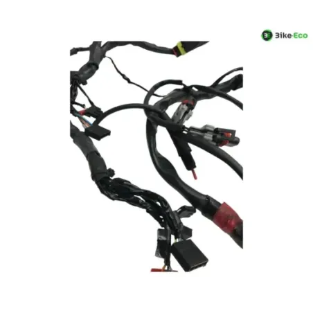 Faisceau electrique GILERA FUOCO 500 2013-2014 LT