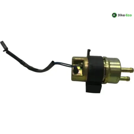 Pompe a essence YAMAHA BT 1100 2002-2004 BULLDOG