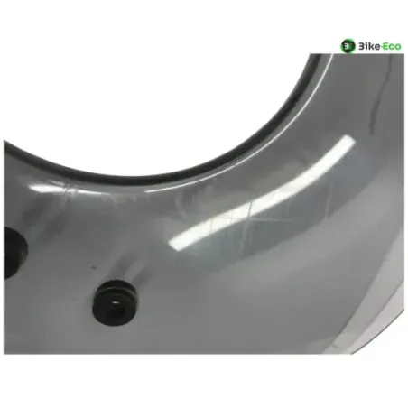 Bulle PIAGGIO VESPA GTS 300 2010-2013 IE