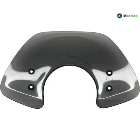 Bulle PIAGGIO VESPA GTS 300 2010-2013 IE