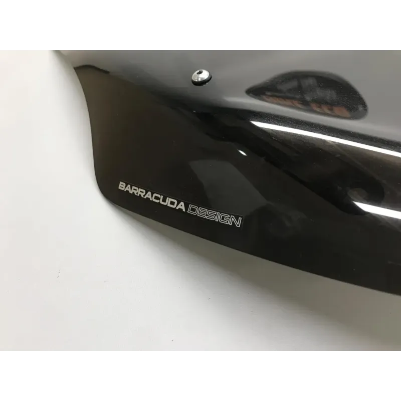 Bulle HONDA NSS 125 2021-2022 FORZA