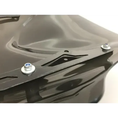 Bulle HONDA NSS 125 2021-2022 FORZA