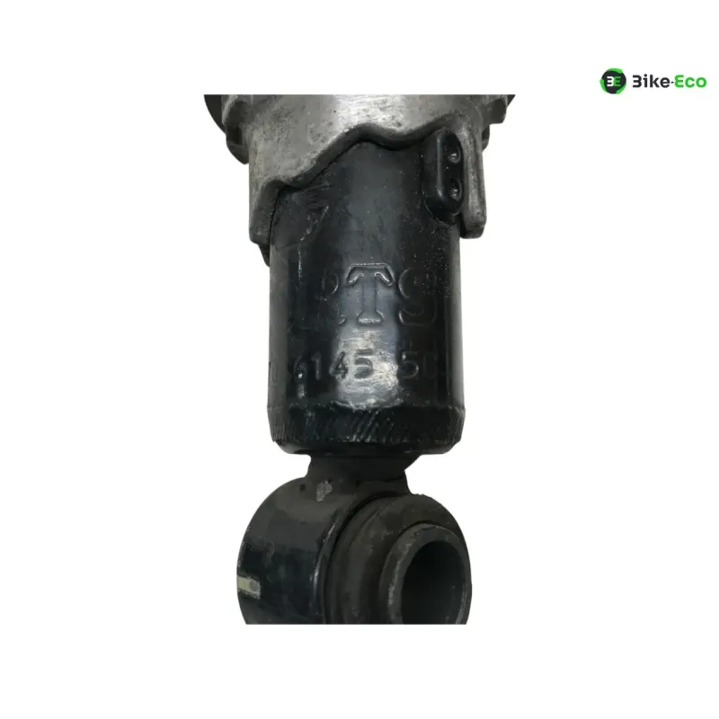 Double amortisseur PIAGGIO VESPA GTS 300 2010-2013 IE