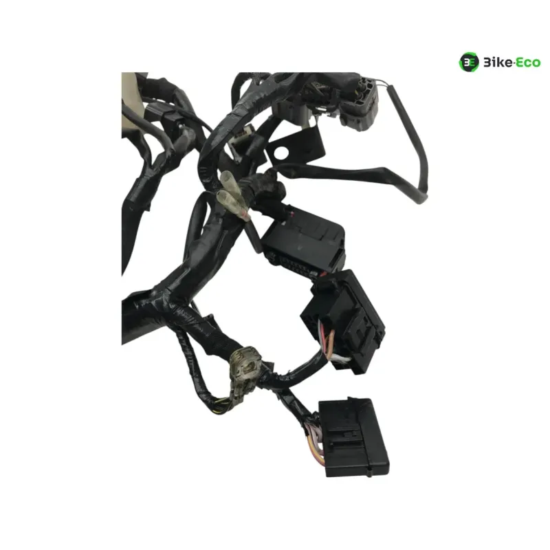 Faisceau electrique KAWASAKI Z 650 2020-2024