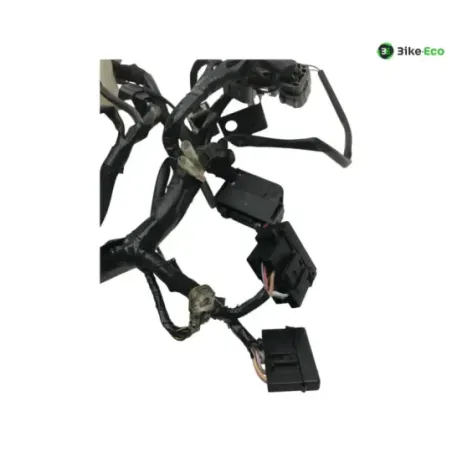 Faisceau electrique KAWASAKI Z 650 2020-2024