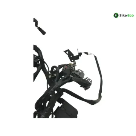 Faisceau electrique KAWASAKI Z 650 2020-2024
