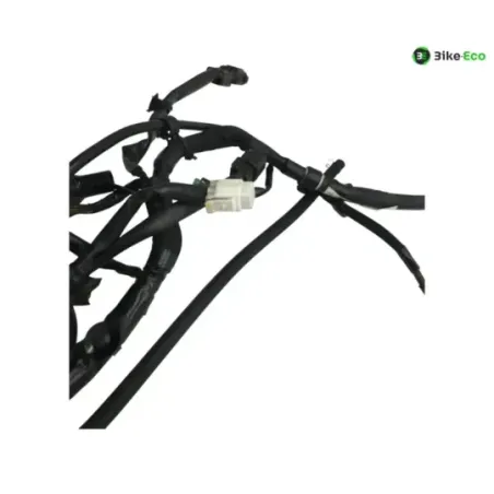 Faisceau electrique KAWASAKI Z 650 2020-2024