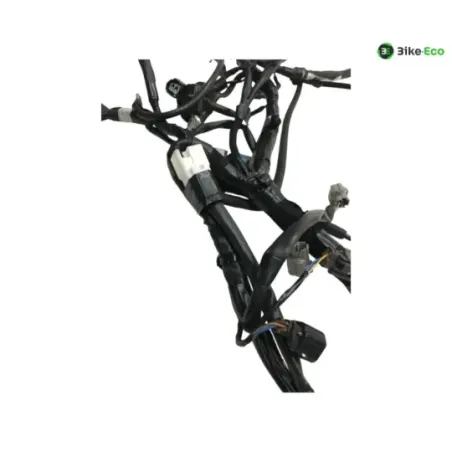 Faisceau electrique KAWASAKI Z 650 2020-2024
