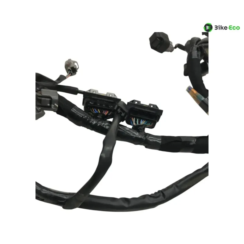 Faisceau electrique KAWASAKI Z 650 2020-2024