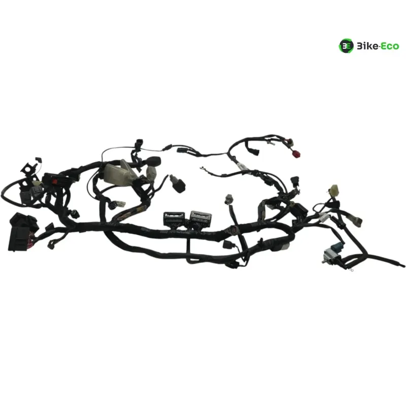 Faisceau electrique KAWASAKI Z 650 2020-2024