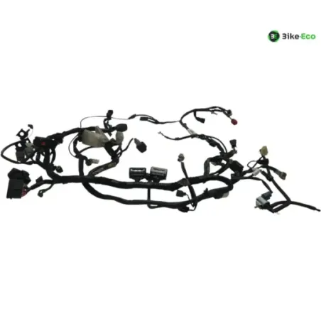 Faisceau electrique KAWASAKI Z 650 2020-2024