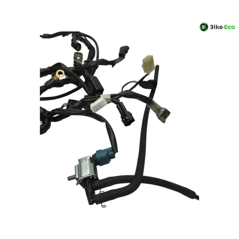 Faisceau electrique KAWASAKI Z 650 2020-2024