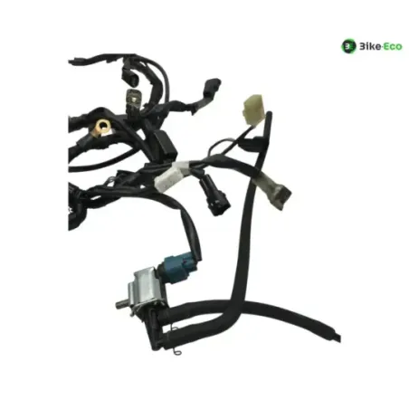 Faisceau electrique KAWASAKI Z 650 2020-2024