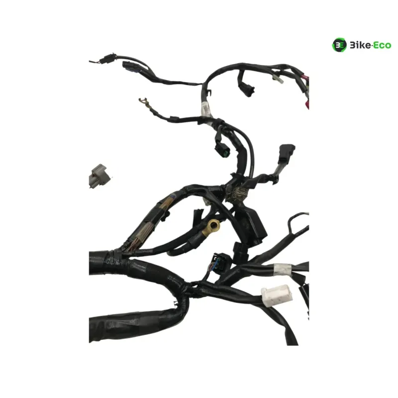 Faisceau electrique KAWASAKI Z 650 2020-2024